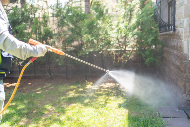 Best Exterminator Services  in Mount Wolf, PA