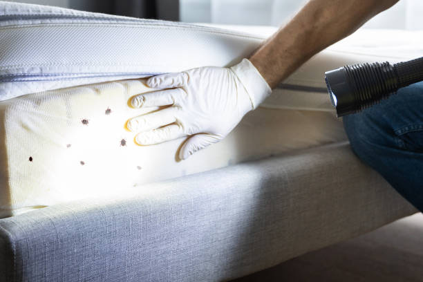 Professional Pest Control in Mount Wolf, PA